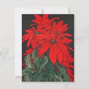 INVITATIONS À LA FÊTE ROUGE DE BOUQUET EN POINSETT
