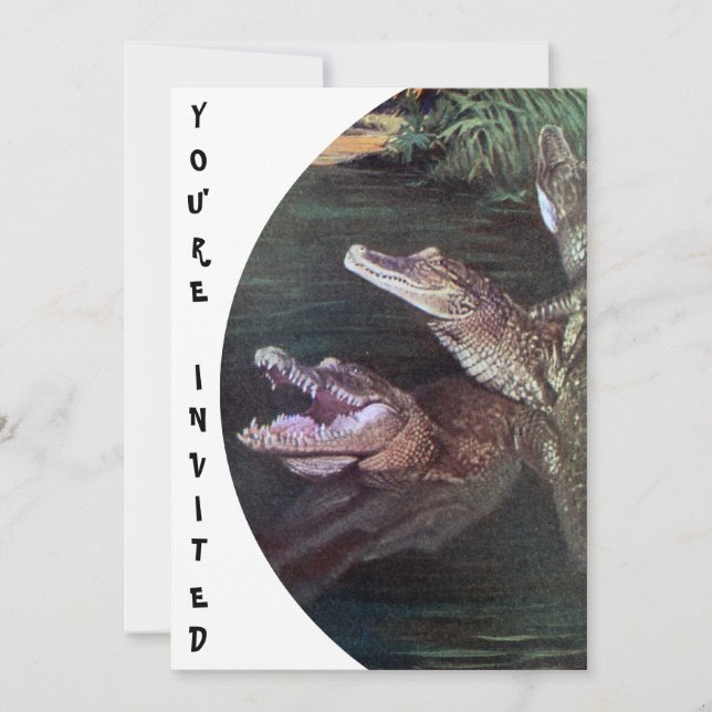 Invitations amusantes de crocodiles (Devant)