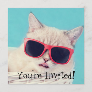 Invitations Cool de la fête du chat Aqua Blue