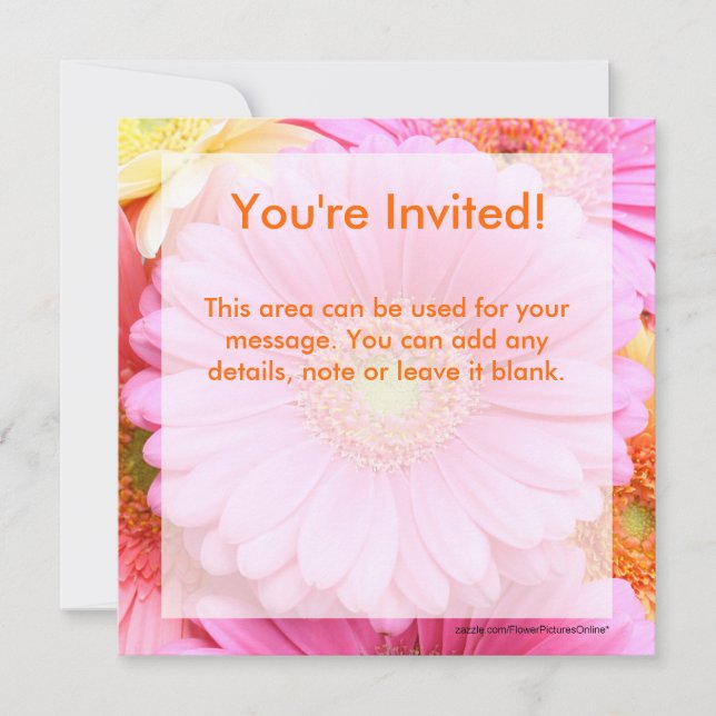 Invitations Daisy - Gerber Daisy rose (Devant)