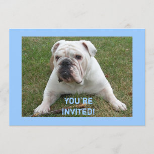 Invitations d'anniversaire de Bulldog anglais