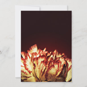 Invitations de Carnation Fire