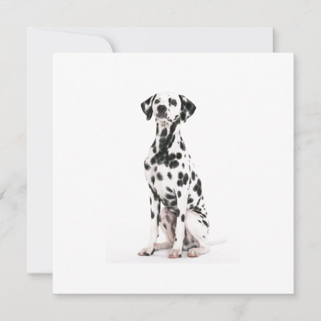 Invitations de chien de feu (Devant)