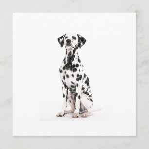 Invitations de chien de feu