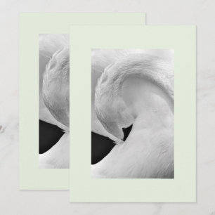 Invitations de cygne élégantes 5x7 pour mariage et
