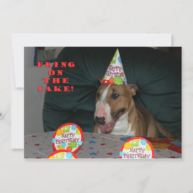 Invitations de fête d'anniversaire de bull-terrier (Devant)
