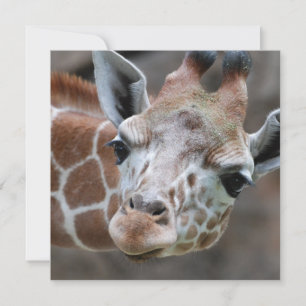 Invitations de Giraffe adorables