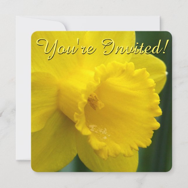 Invitations de jonquilles de Pâques Personnaliser  (Devant)