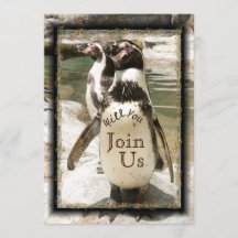 Invitations de mariage au zoo photo de Pingouin am