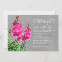 Invitations de mariage pour un escargot
