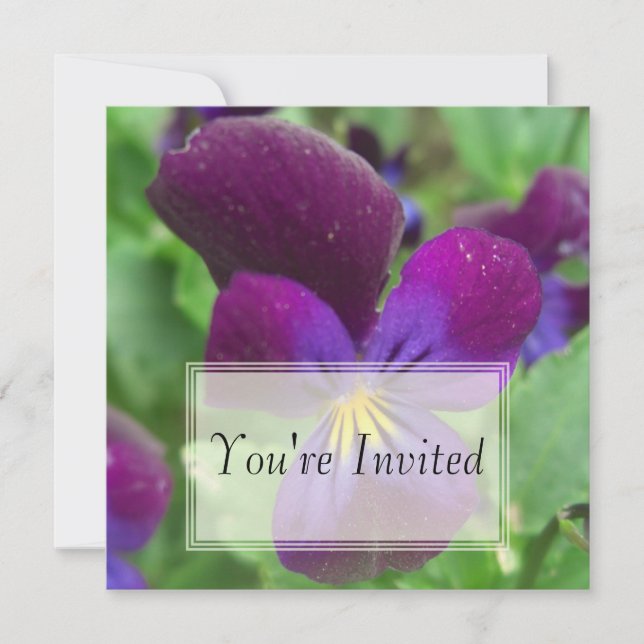 Invitations de Pansy (Devant)