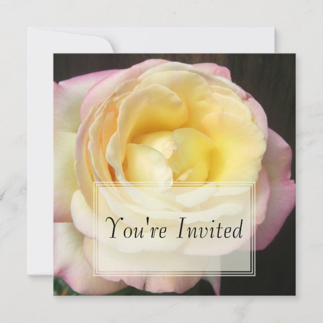 Invitations des Roses de paix (Devant)