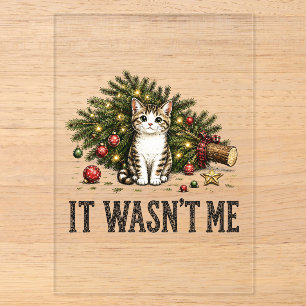 Invitations En Acrylique Chat drôle de Noël Ce n'était pas moi