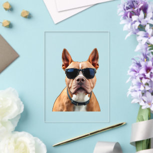 Invitations En Acrylique Chien en Lunettes de Soleil, Taille: 5" x 7"