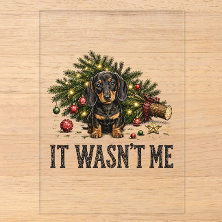Invitations En Acrylique Drôle de Dachshund Noël Ce n'était pas moi