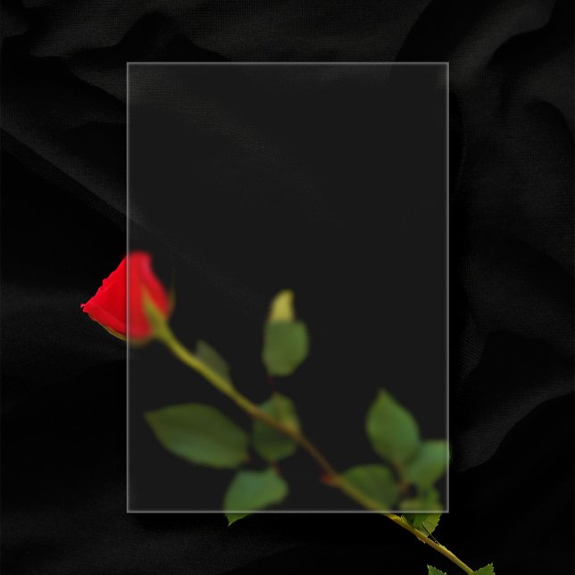 Invitations En Acrylique Mariage vierge en plastique givrée de 5 po x 7 po (In Situ of transparent frosted wedding invitation over a rose)