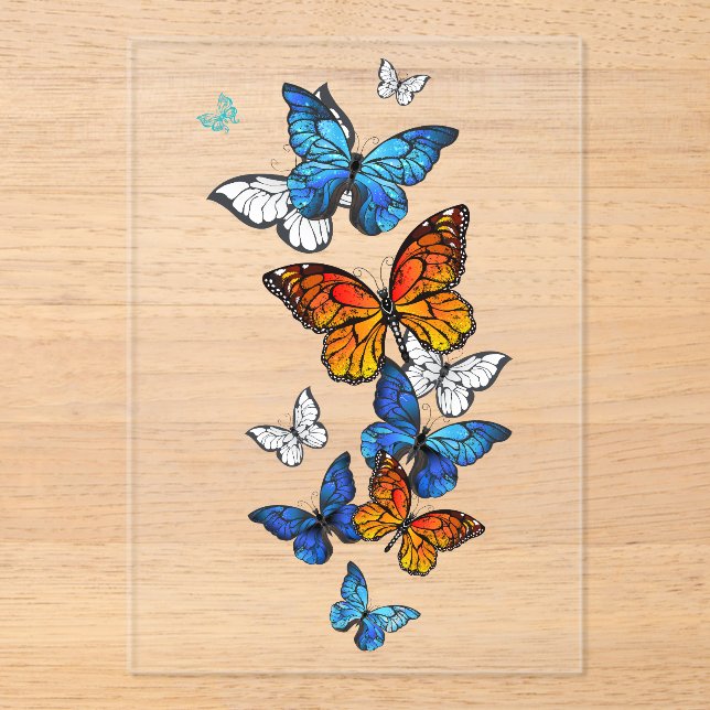 Invitations En Acrylique Papillons volants Morpho et Monarch (Recto)