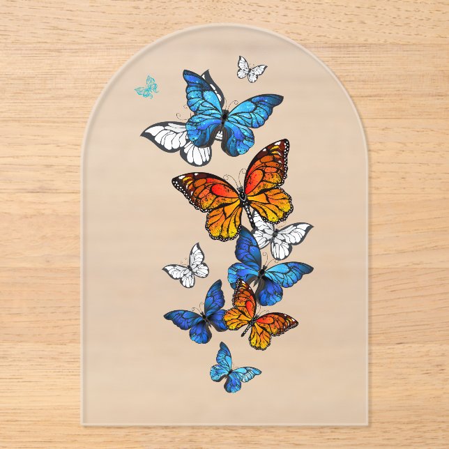 Invitations En Acrylique Papillons volants Morpho et Monarch (Recto)