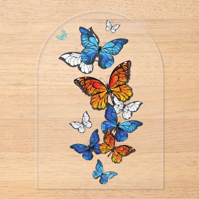 Invitations En Acrylique Papillons volants Morpho et Monarch (Recto)