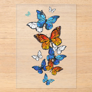 Invitations En Acrylique Papillons volants Morpho et Monarque