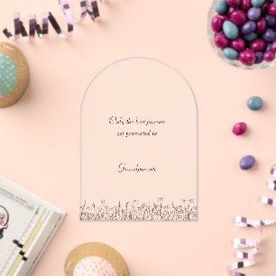 Invitations En Acrylique Personnage de la Pregnancy Announcement For Family