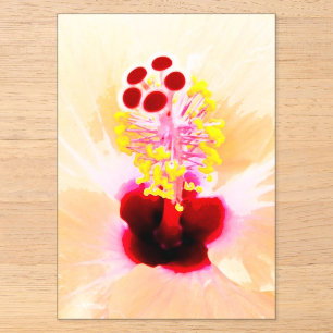 Invitations En Acrylique Photographie de fleur d'Hibiscus