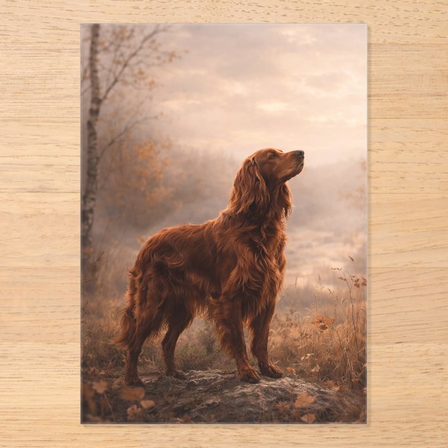 Invitations En Acrylique Setter irlandais (Recto)