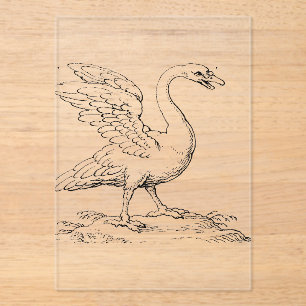 Invitations En Acrylique Symbole de l'amour et de la fidélité Swan Fine Art