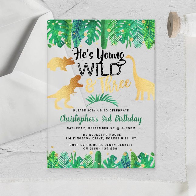 Invitations En Acrylique Young Wild & Three Dinosaur Boys 3e anniversaire (Créateur téléchargé)