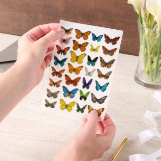 Invitations En Vélin ensemble papillon à l'aquarelle pour découpe minut