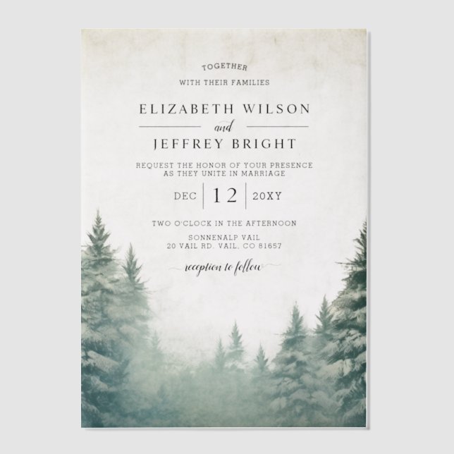 Invitations En Vélin Rustic Winter Mountains Mariage (Recto)