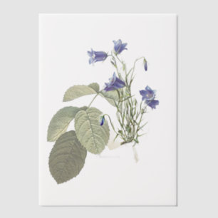 Invitations En Vélin Superposition botanique Campanula Bluebell
