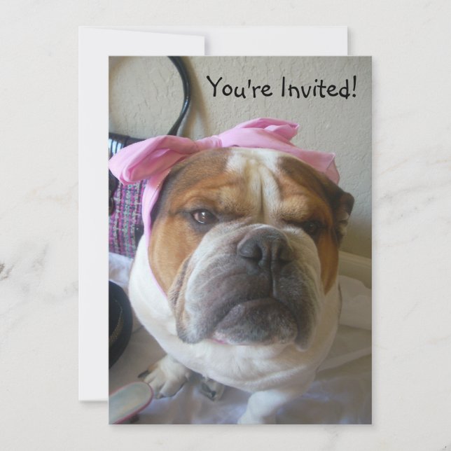 Invitations English Bulldog Birthday ou tout occas (Devant)