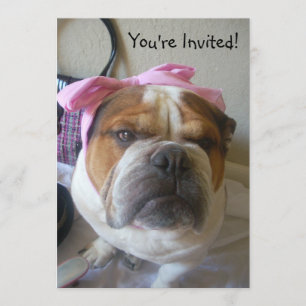 Invitations English Bulldog Birthday ou tout occas