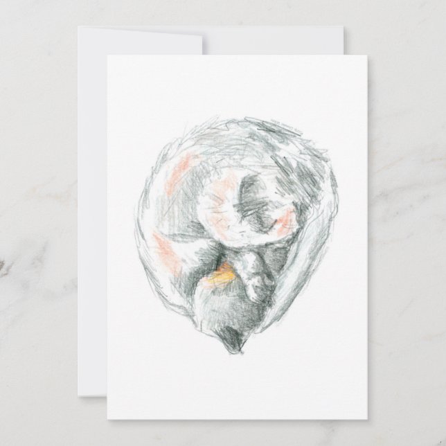 Invitations Et Annonces De Cat Nap (Devant)