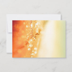 Invitations et Papeterie Cartes RSVP