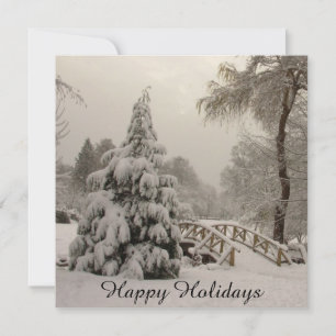 Invitations fêtes de Noël Cartes de fin de année p