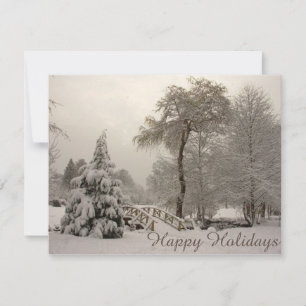 Invitations fêtes de Noël Cartes de fin de année p