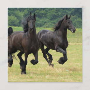 Invitations frisonnes galopantes de chevaux