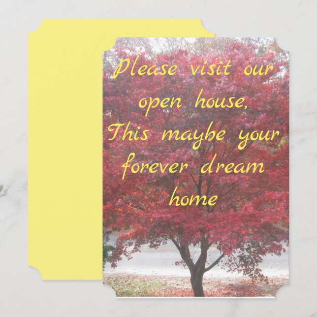 Invitations Open House (Devant / Derrière)