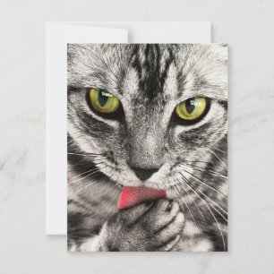 Invitations Papeterie Cartes de voeux Vacances