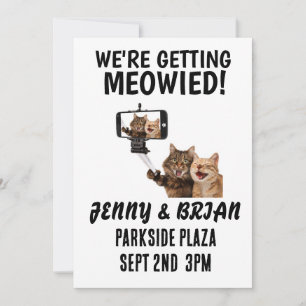 INVITATIONS PERSONNALISÉES DU MARIAGE CAT