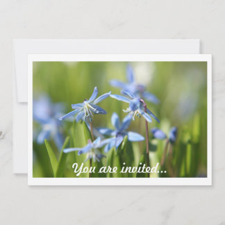 Invitations Spring Bulles