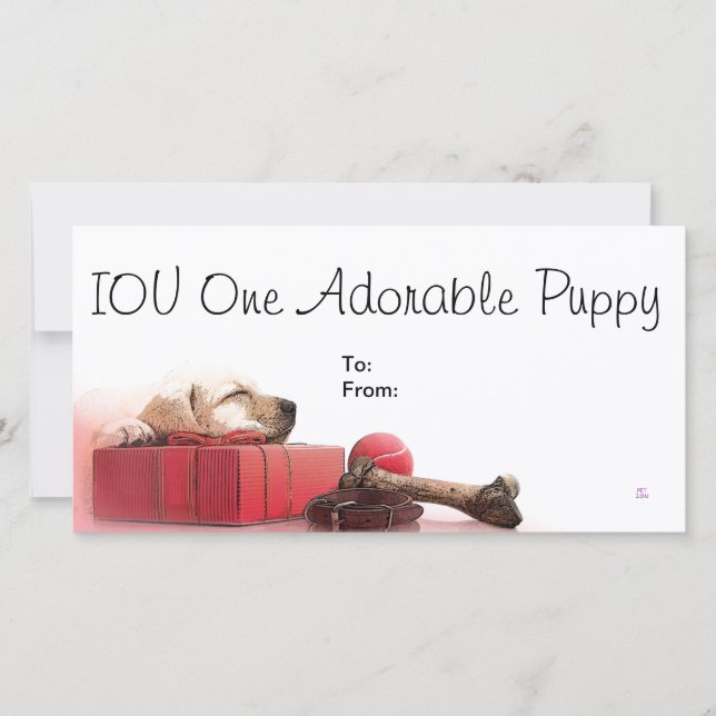 IOU un chiot adorable (Devant)