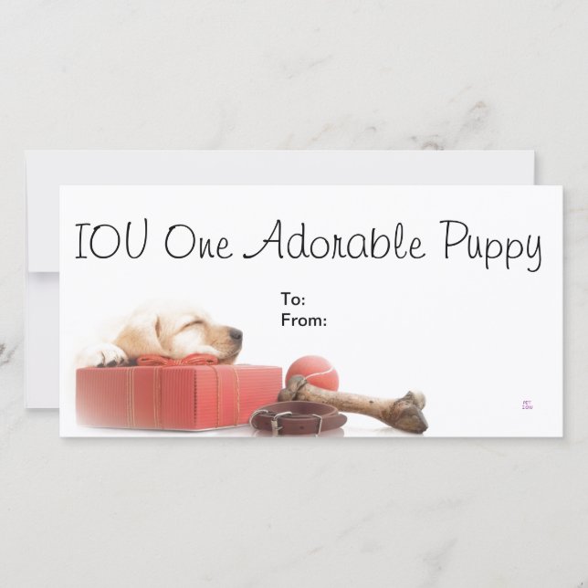 IOU un chiot adorable (Devant)