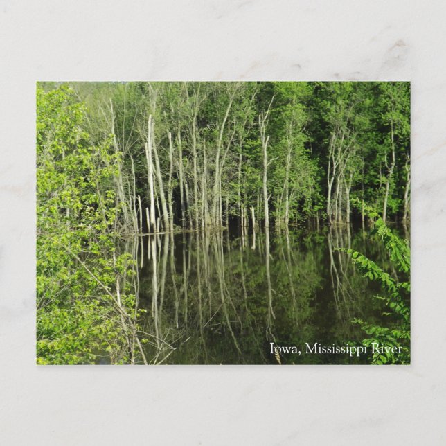 Iowa sur la carte postale du Mississippi (Devant)