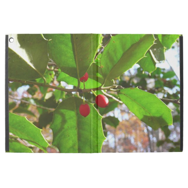 iPad Pro 12.9" Case Holly Feuilles II Vacances Nature Botanique (Extérieur)