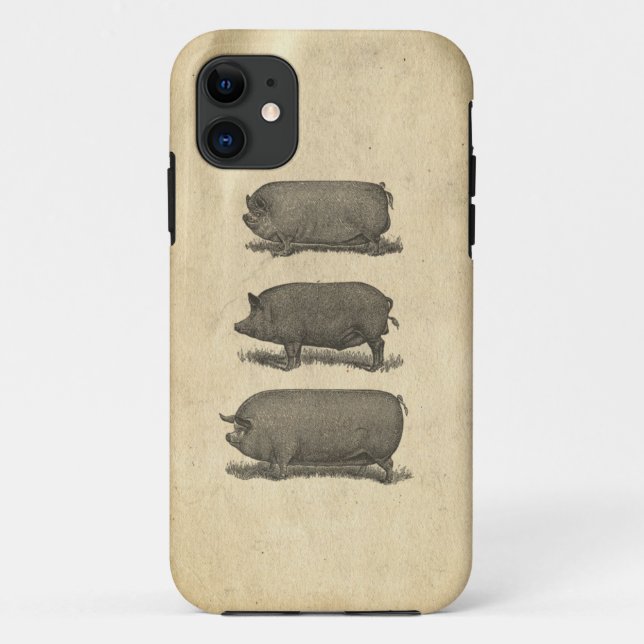 iPhone 11 Coque Vintage de porcs (Dos)