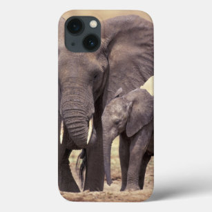 iPhone 13 Case Afrique, Tanzanie, Parc national de Tarangire. 2