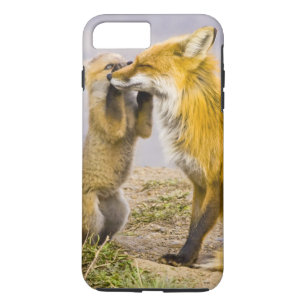Etui iPhone Case-Mate USA, Colorado, Breckenridge. Red fox mère 2